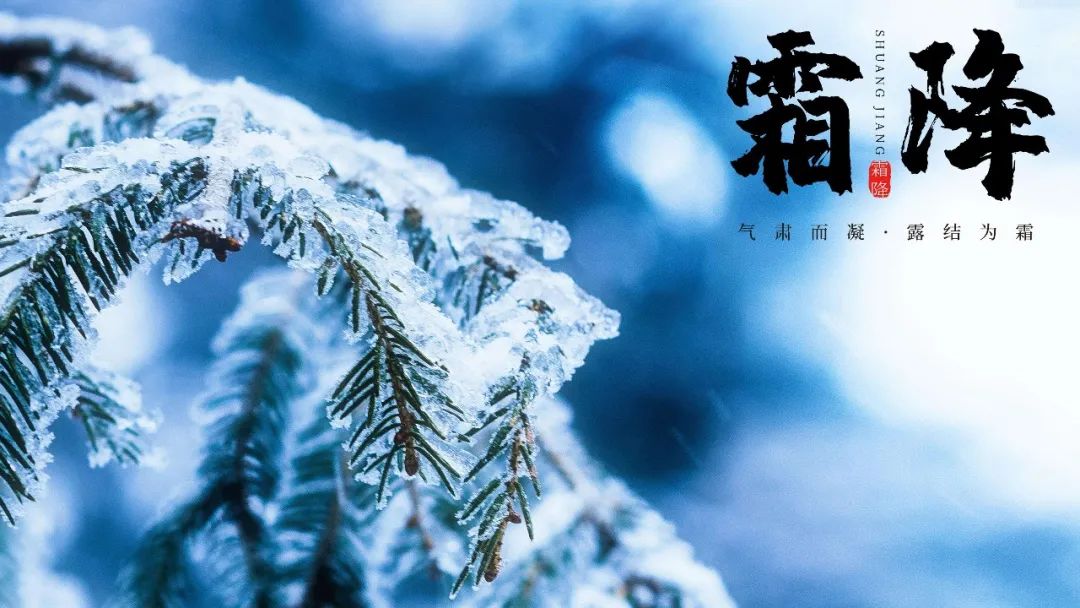 霜降｜气肃而凝  露结为霜