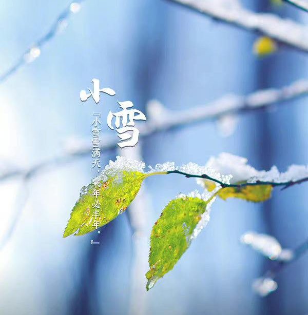 小雪｜小雪雪满天 来年必丰年