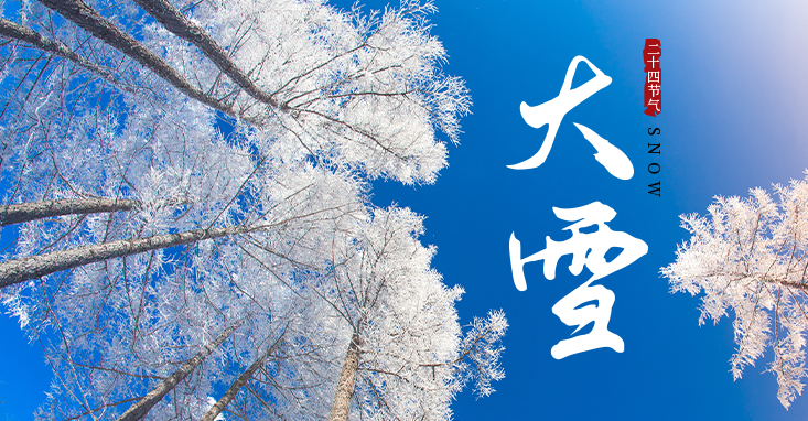 大雪｜万物潜藏  至此而雪盛也