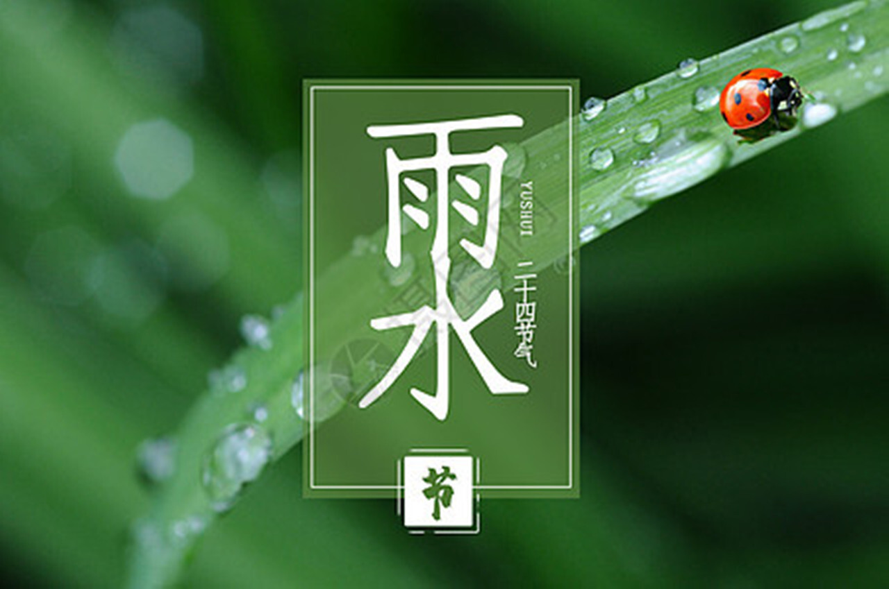 雨水｜向圃轻烟含柳树  隔廉疏雨湿梅花