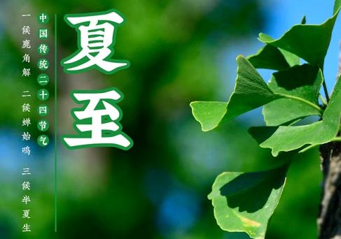 夏至｜新象迸生　迎夏而立