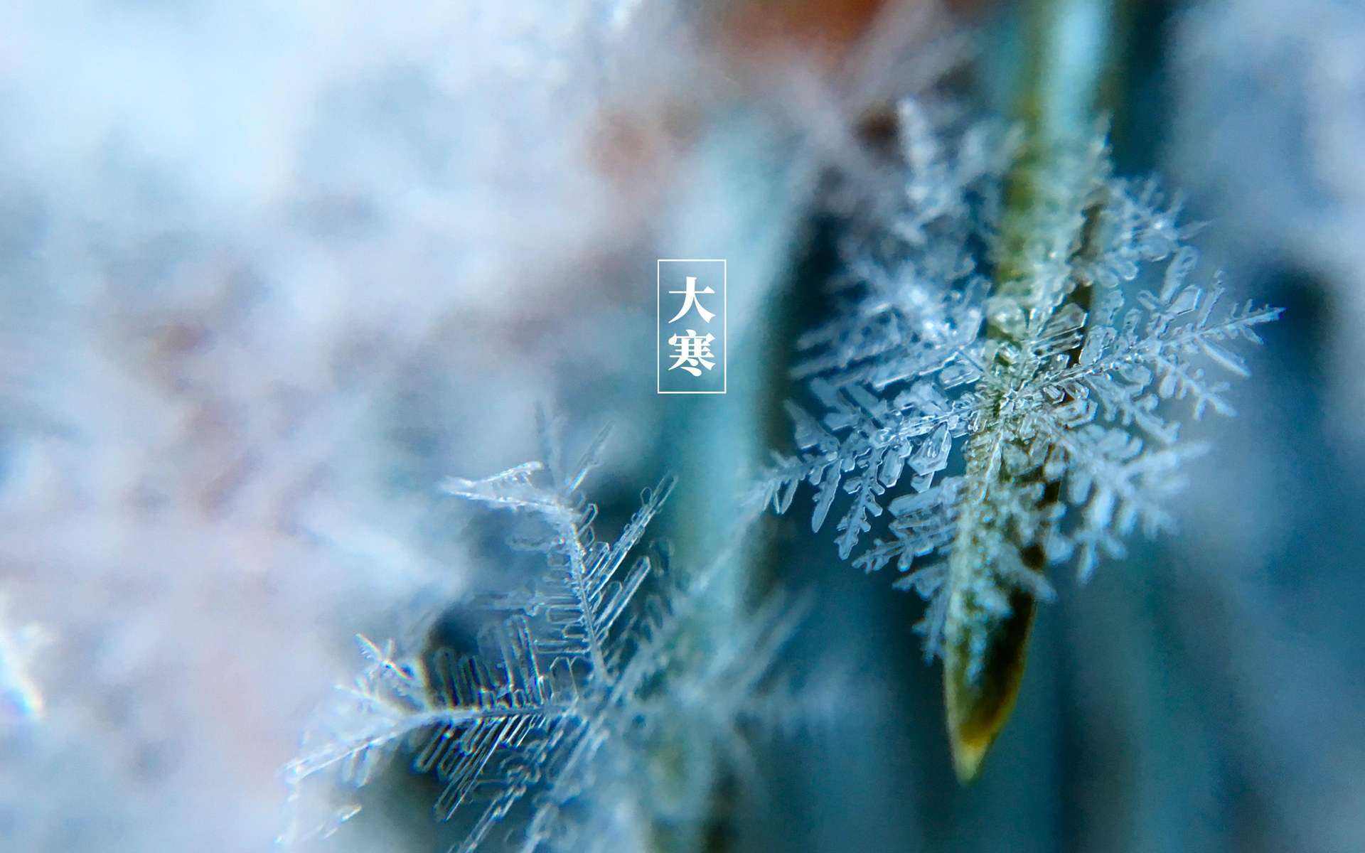 大寒｜大寒雪未消 辞旧迎新笑