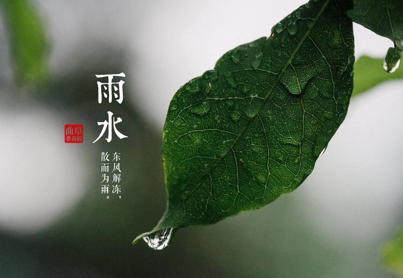 雨水|好水知时节，当春乃发生