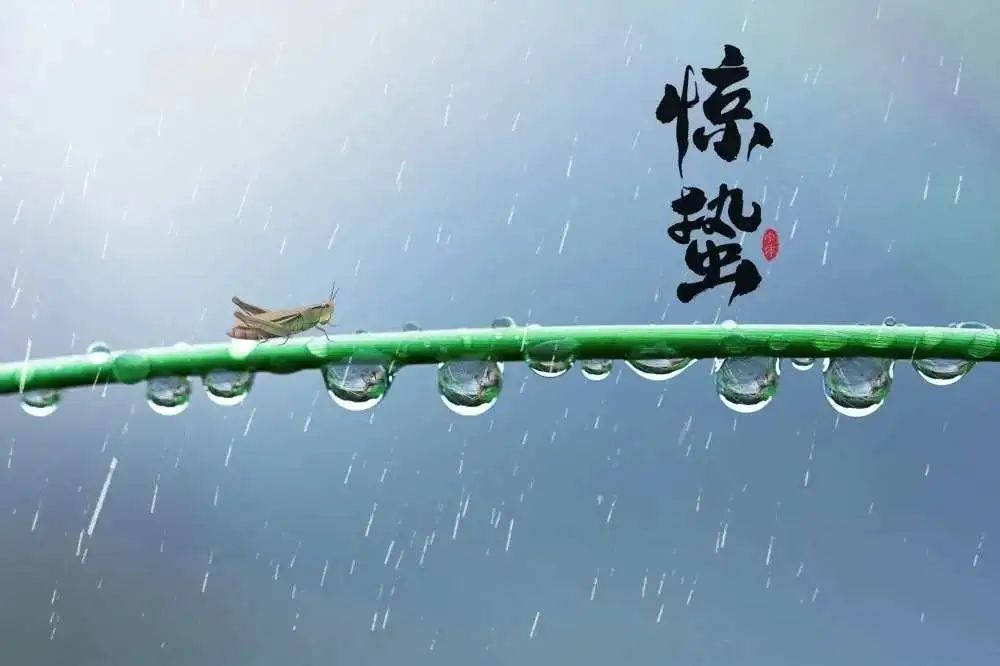 惊蛰｜春雷始鸣 万物生长