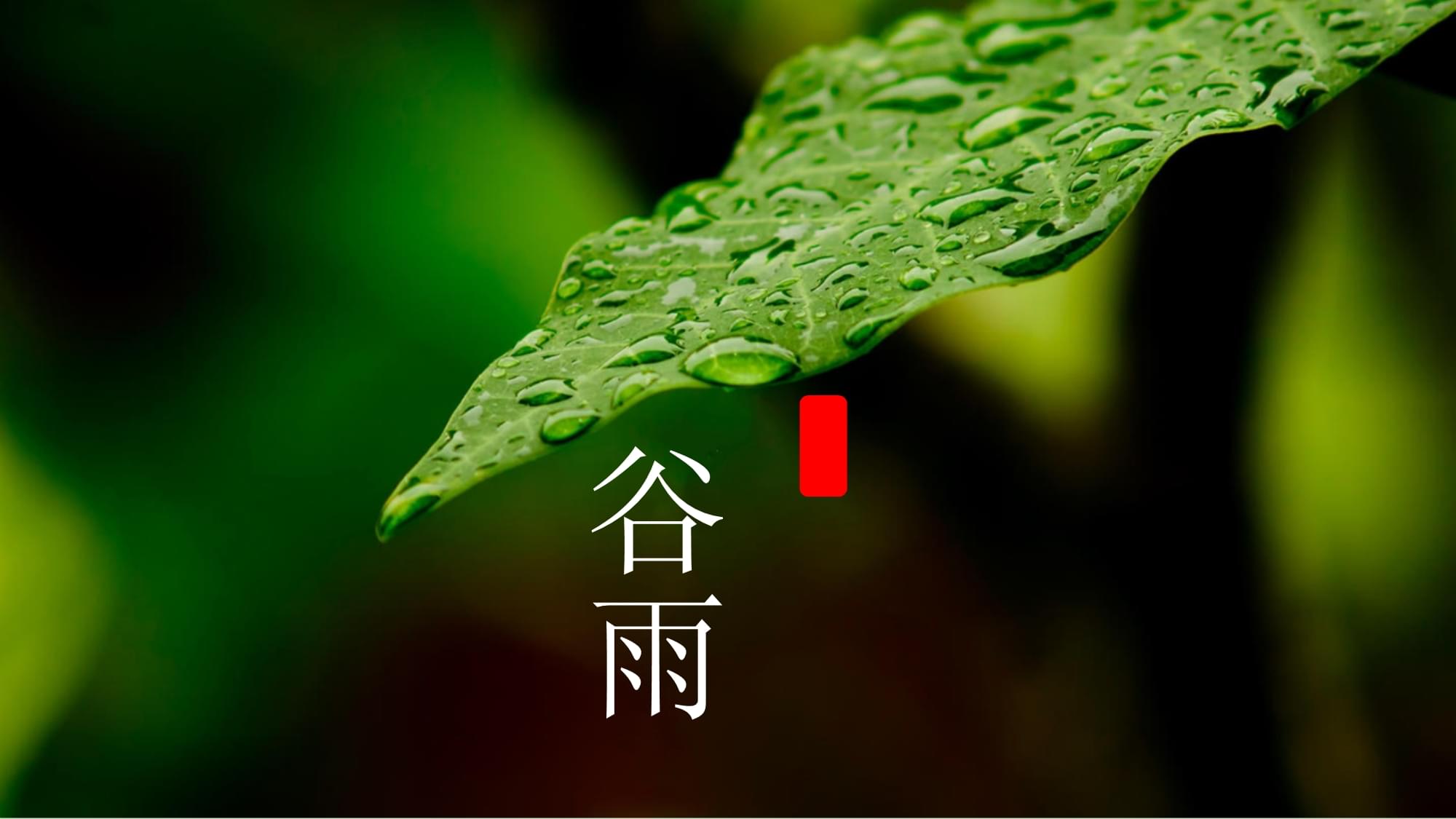 谷雨—雨生百谷，万物更新