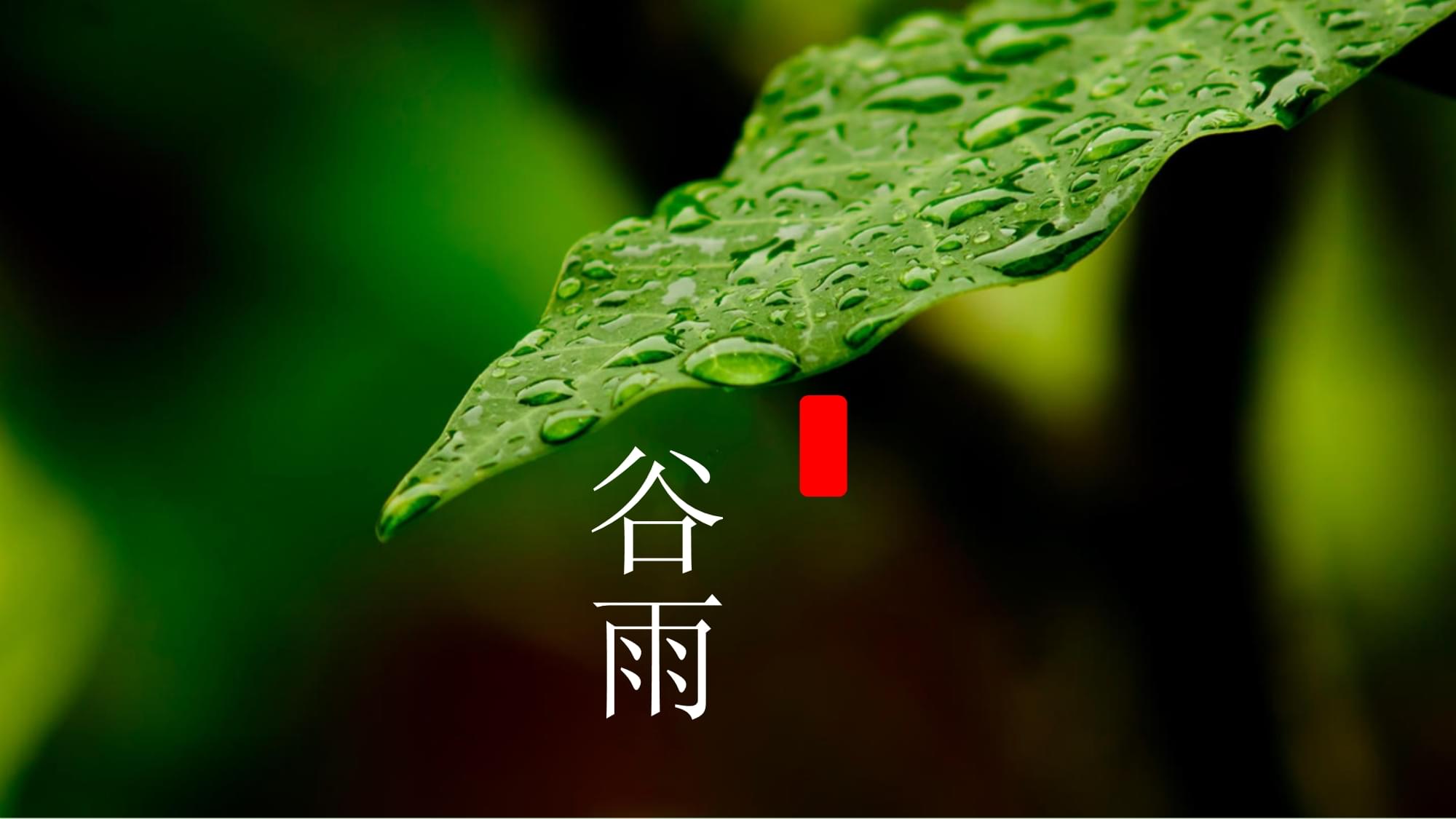 谷雨｜谷雨暮春 万物生长